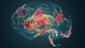 Human brains with neurons lit up