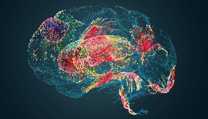 Human brains with neurons lit up